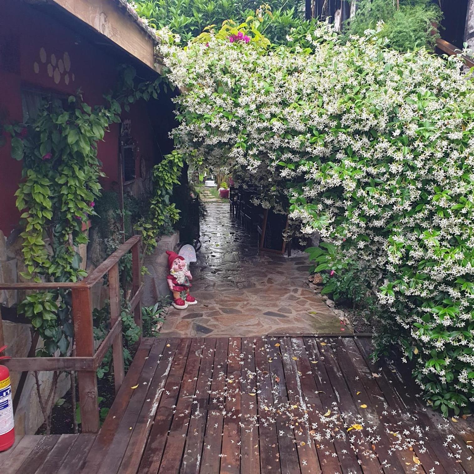 Demeter Rose Stonehouse Pansion Διαμέρισμα Αττάλεια Εξωτερικό φωτογραφία