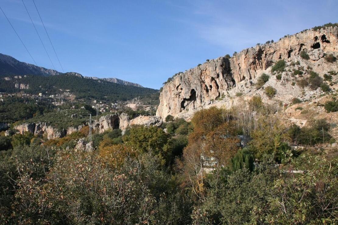 Demeter Rose Stonehouse Pansion Διαμέρισμα Αττάλεια Εξωτερικό φωτογραφία
